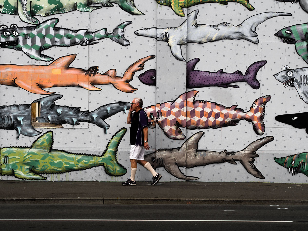 Picture of a shark artwork wall or fish wall close to the  Museum of New Zealand Te Papa Tongarewa Wellington New Zealand